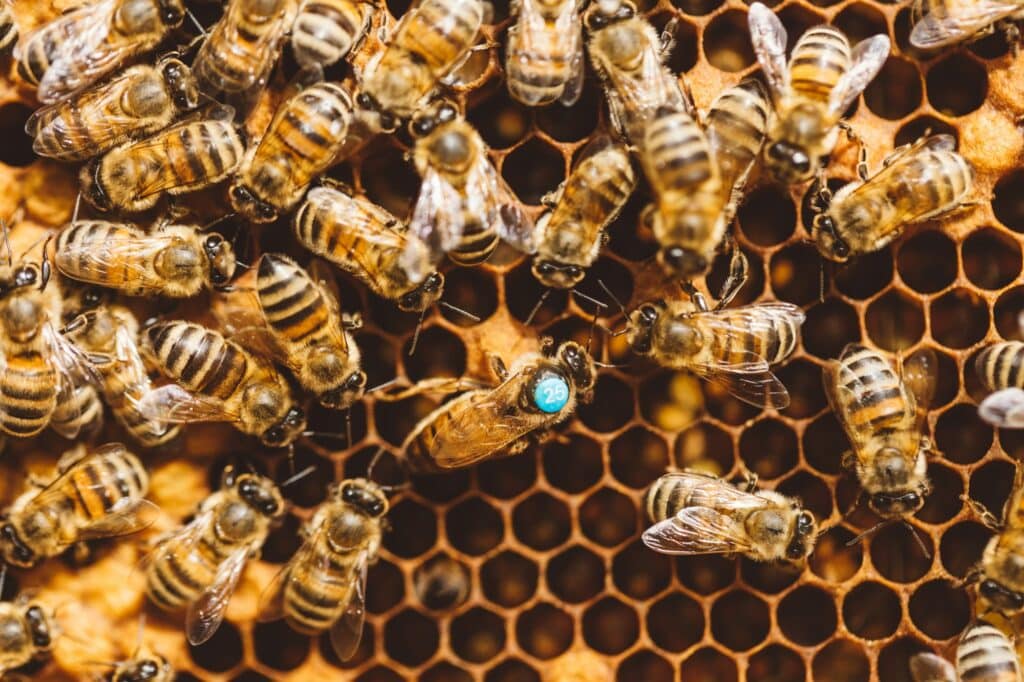 les erreurs les plus fréquentes