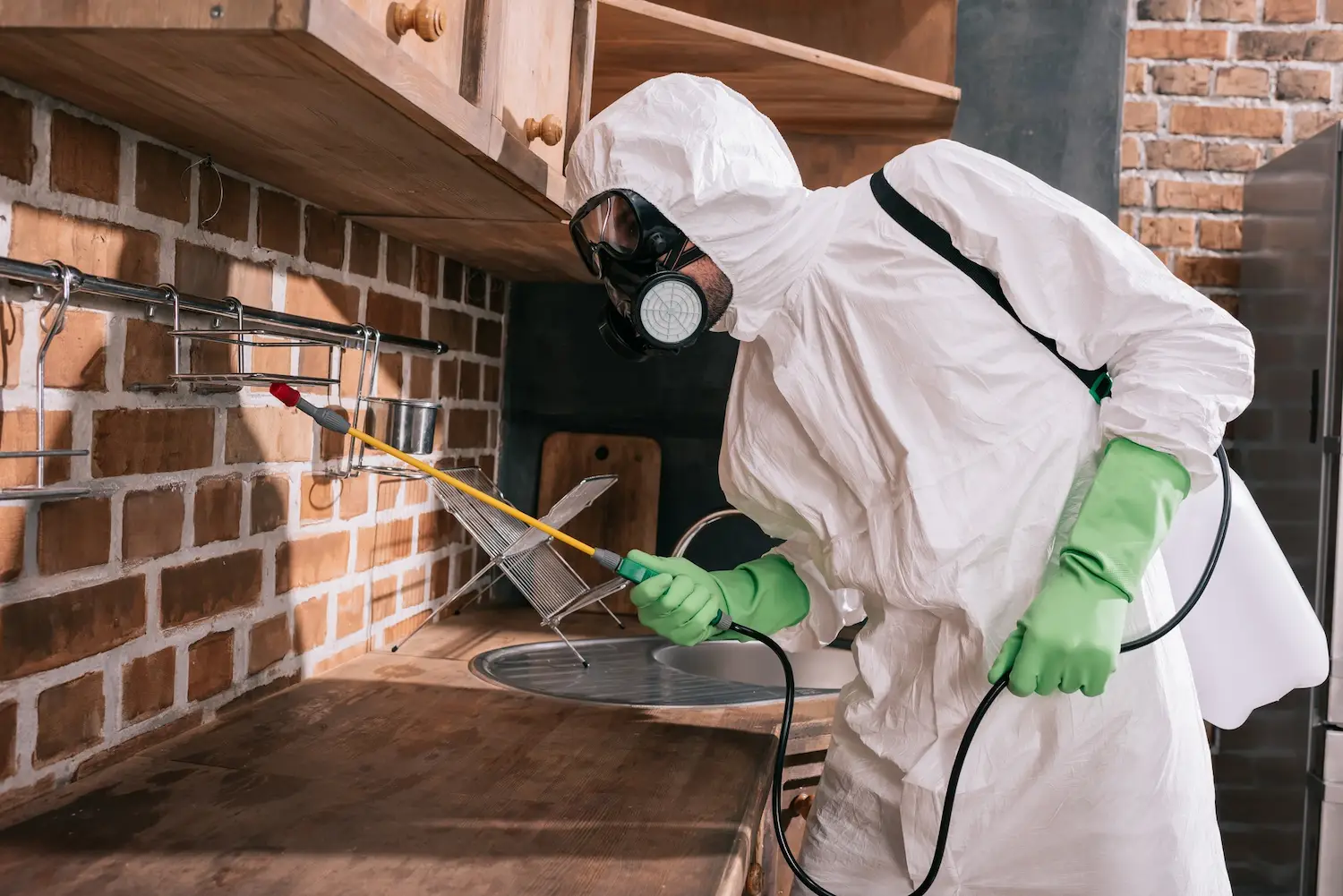 protéger sa maison des infestations